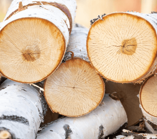 birch logs for sale