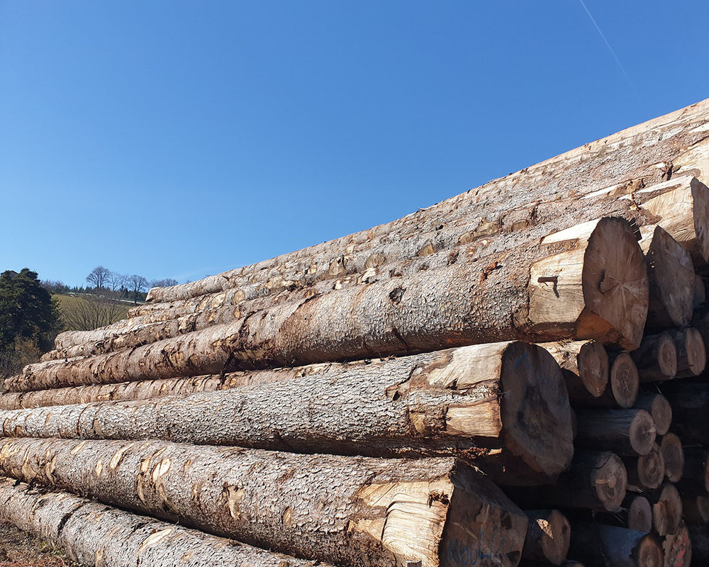 fir logs for sale