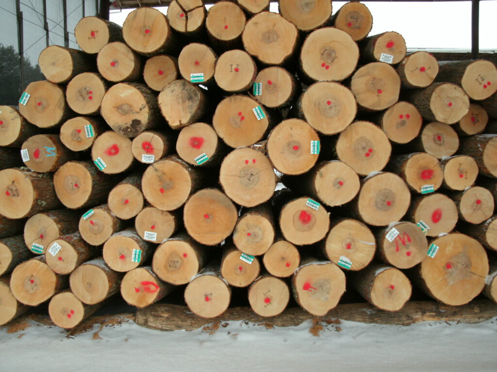 maple logs for sale